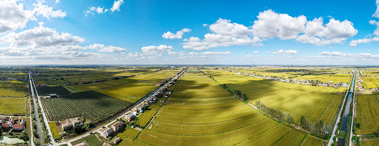金秋沃野豐收圖 農(nóng)機(jī)歡唱糧滿倉