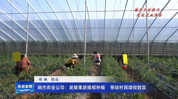 【推進(jìn)鄉(xiāng)村振興建設(shè)農(nóng)業(yè)強(qiáng)縣】瑞杰農(nóng)業(yè)公司：發(fā)