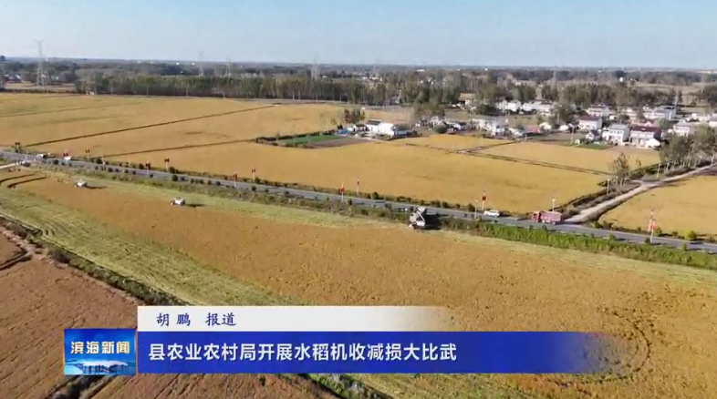 縣農(nóng)業(yè)農(nóng)村局開展水稻機(jī)收減損大比武
